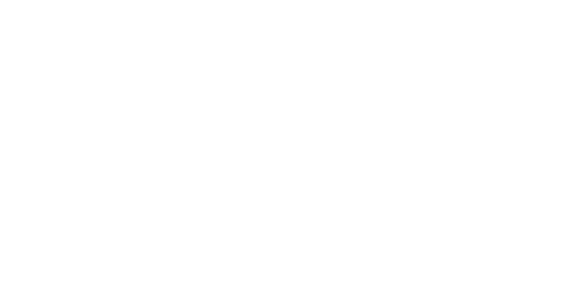 ACEK INMOBILIARIA logo