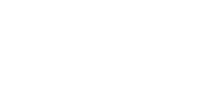 ACEK RENEWABLES logo